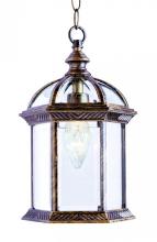  4183 SWI - Wentworth 1-Light Atrium Style Outdoor Hanging Pendant